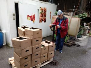 WIR, Arbeit für Menschen mit Behinderung